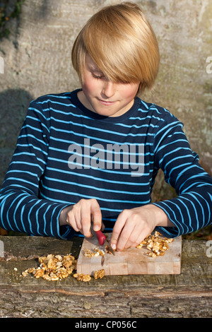 Ragazzo come preparare il pesto da self-raccolto di noci e semi di girasole, olio d'oliva e parmigiano e noci sono scapecchiato, Germania Foto Stock