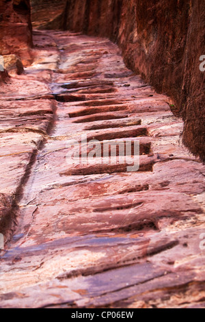 Scale di pietra verso l'alto luogo del sacrificio, Petra, Giordania, Asia Occidentale Foto Stock