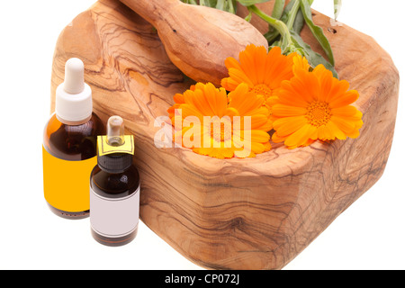Olii essenziali di calendula (Calendula officinalis) Foto Stock