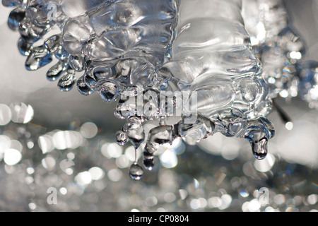 Il ghiaccio al Creek, in Germania, in Renania Palatinato, Niederfischbach Foto Stock