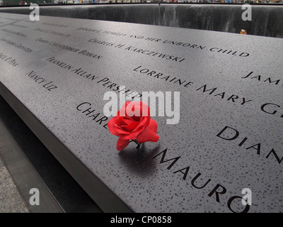 Una sola rosa rossa posta al nome di una vittima al 9/11 Memorial nella città di New York, 12 ottobre 2011, © Katharine Andriotis Foto Stock