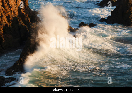 Cabo de Gata-Nijar parco naturale, provincia di Almeria, Spagna. Onde che si infrangono sulla Arrecife de Las Sirenas o Mermaid il reef. Foto Stock