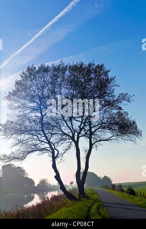 Hadler Canal, Germania, Bassa Sassonia, Otterndorf Foto Stock