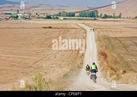 Pellegrini sul cammino di san Giacomo in bicicletta o a piedi attraverso i campi di stoppie tra Gran e Redecilla del Camino, Spagna, Kastilien und Len, Burgos Foto Stock