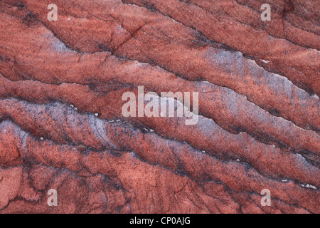 La superficie colorata di una parete rocciosa: tipica pietra arenaria rossa formazioni realizzate dall'erosione e dagli agenti atmosferici visto in Petra, Giordania. Foto Stock