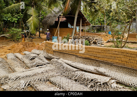 L'uomo facendo mattoni di fango, Sri Lanka Foto Stock