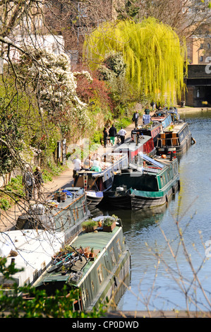 Vista aerea Regents Canal narrowboat ormeggi e persone che camminano lungo Towpath con colori primaverili sulla piangente Willow Tree Islington London Inghilterra Regno Unito Foto Stock