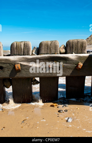 Costiera pennelli di legname su Cromer Beach, Norfolk, Inghilterra, Regno Unito. Foto Stock