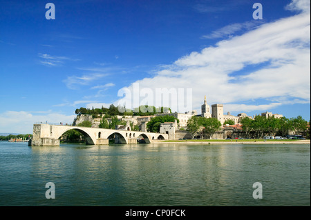 Fiume Rodano Pont St Benezet Avignon Vaucluse Provence-Alpes Cote d Azur Francia Foto Stock