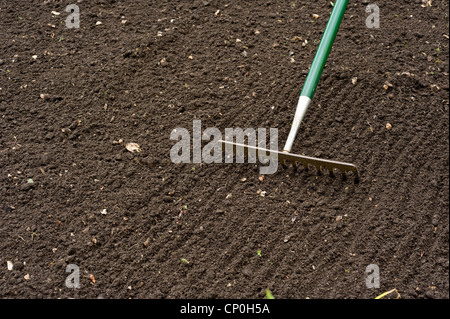 La rastrellatura marrone intenso terreno per creare un letto di semina per ortaggi Foto Stock