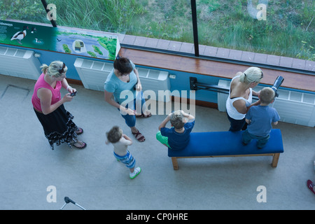 Centro Visitatori, London Wetland Centre, Wildfowl and Wetlands Trust, Barnes. Foto Stock