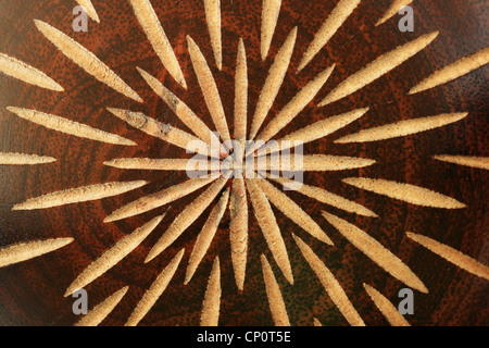 Luce starburst intagliato design più scuri in legno tinto Foto Stock