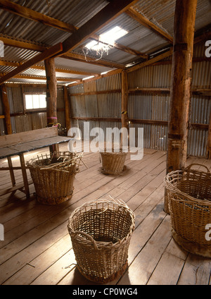 Interno del vecchio e storico passo di taglio ad angolo esigenze Stazione Victoria Australia Foto Stock