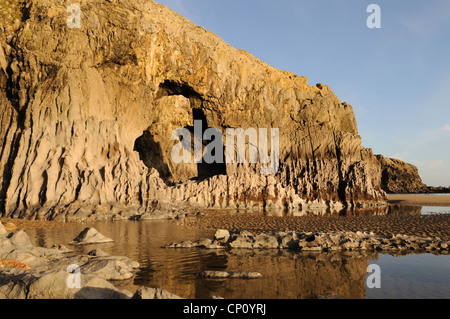 Lydstep caverne a bassa marea Pembrokeshire Wales Cymru REGNO UNITO GB Foto Stock