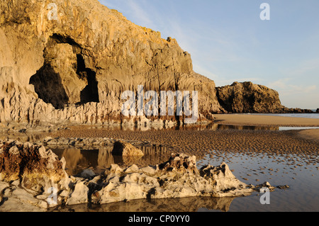 Lydstep Caverns in tarda serata la luce Pembrokeshire Wales Cymru REGNO UNITO GB Foto Stock