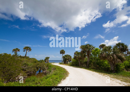 Merritt Island National Wildlife Refuge (MINWR) Foto Stock