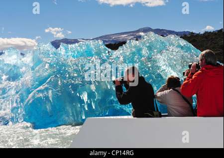 Un'immagine dal Parco Nazionale di Torres del Paine Cile. Foto Stock