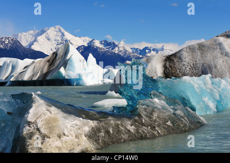 Un'immagine dal Parco Nazionale di Torres del Paine Cile. Foto Stock