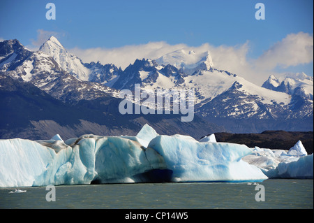 Un'immagine dal Parco Nazionale di Torres del Paine Cile. Foto Stock