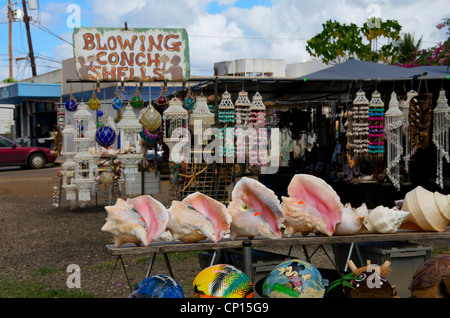 Soffiando Conch conchiglie per la vendita a cavalletto sul ciglio della strada a Haleiwa, Hawaii su Oahu Island Foto Stock