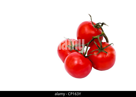 Un mazzetto di quattro pomodori isolato su bianco con steli Foto Stock