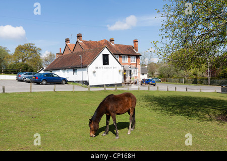 Minstead village green e pony e fedele servo inn/pub in background, New Forest, Hampshire, Inghilterra, Regno Unito Foto Stock