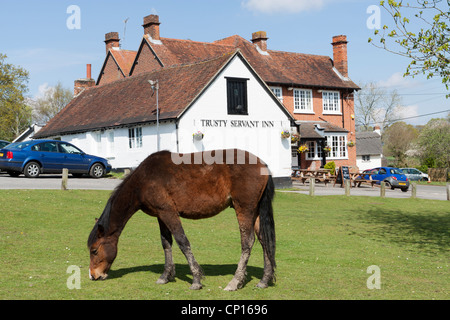 Minstead village green e pony e fedele servo inn/pub in background, New Forest, Hampshire, Inghilterra, Regno Unito Foto Stock