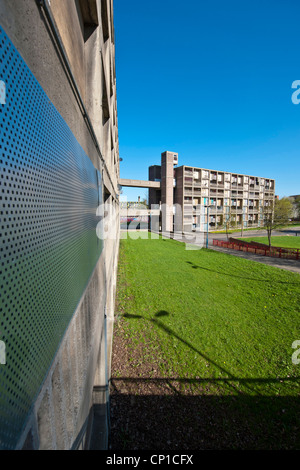 Vista in dettaglio della sicurezza in acciaio imbarco su parte dei derelitti Park Hill Station Wagon, Sheffield Foto Stock