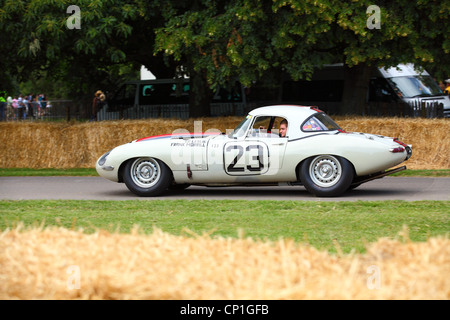 E-type Jaguar a 2011 Goodwood Festival della velocità Foto Stock