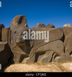 Massiccio basalto Hittita Lion carving, Siria Foto Stock