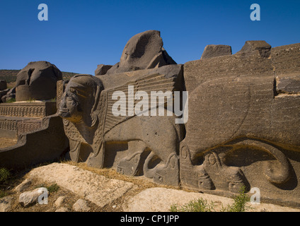 Massiccio basalto Hittita Lion carving, Siria Foto Stock