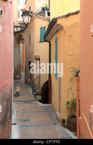 Il villaggio medievale di Roquebrune Foto Stock