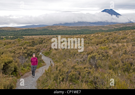 Per tutta la notte a bassa cloud parzialmente avvolgenti Mount Ngauruhoe nella nazione di Tongariro Park, Nuova Zelanda Foto Stock