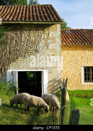 La Chaise, Dordogne, Francia Foto Stock