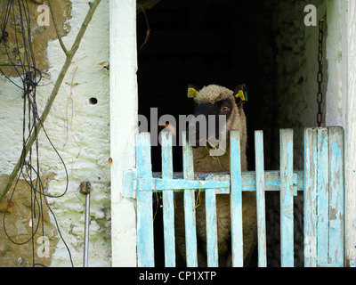 La Chaise, Dordogne, Francia Foto Stock