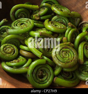 Prodotti commestibili fiddlehead ferns Foto Stock