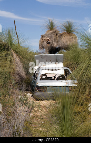 Abbandonato devastata e oggetto di dumping auto nel bush australiano. Foto Stock