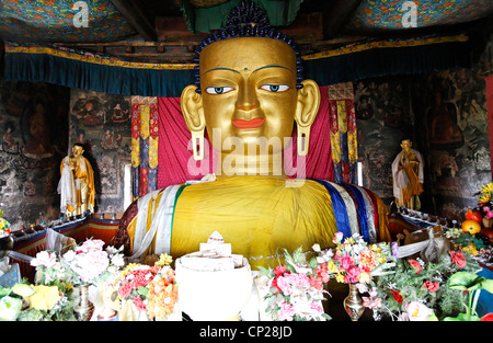 Statua di Buddha all'interno di Shey Gompa, monastero buddista, in Ladakh, India Foto Stock