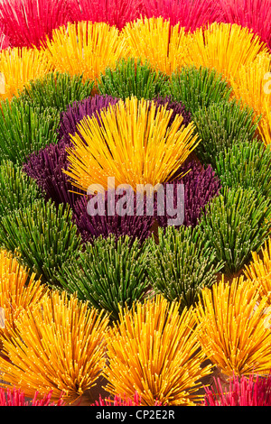 Fasci colorati di bastoncini di incenso in vendita, disposti come un fiore, Xuan Thuy Hat Village, vicino a tonalità, Vietnam Foto Stock