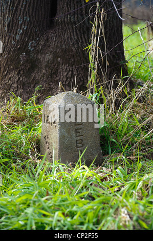 TRI-contea di confine in pietra del marcatore di Lancaster in Libano e DAUPHIN contee, PENNSYLVANIA Foto Stock