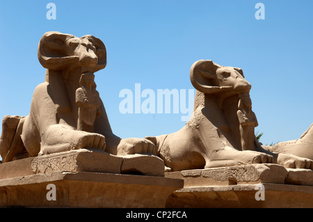 Statue del tempio di Luxor. Foto Stock