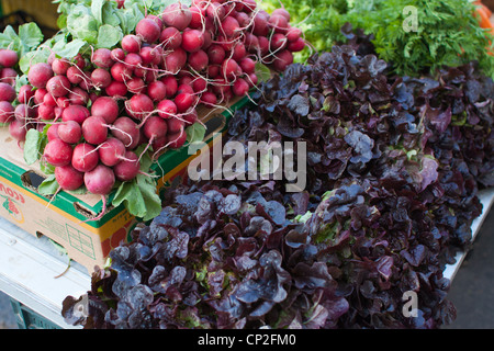 Fattoria di verdure fresche, compresi i ravanelli e lattuga, sul visualizzatore in corrispondenza di un mercato spagnolo. Foto Stock