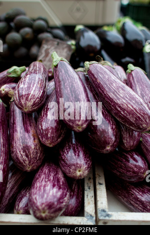 Fattoria fresco a strisce / melanzana melanzane su display a un mercato spagnolo. Foto Stock