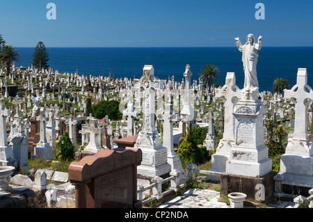 Cimitero di Waverley Bronte Sydney Australia Foto Stock