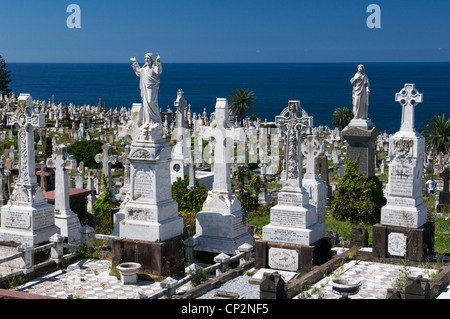 Cimitero di Waverley Bronte Sydney Australia Foto Stock