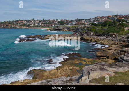 Guardando verso la spiaggia Tamarmara Bay da marchi Park Sydney Australia Foto Stock