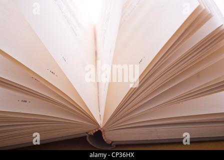 Vecchio libro aperto. Close up. Foto Stock