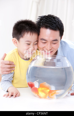 Padre e figlio si divertono con goldfishes Foto Stock