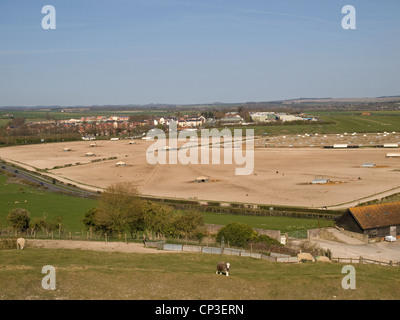 Free range allevamento di suini Old Sarum Salisbury Wiltshire, Inghilterra REGNO UNITO Foto Stock