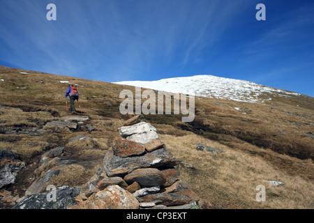 Walker appena superato un cairn segnando il percorso sopra le piste di Beinn un Dothaidh (1002m) verso la sua coperta di neve summit Foto Stock